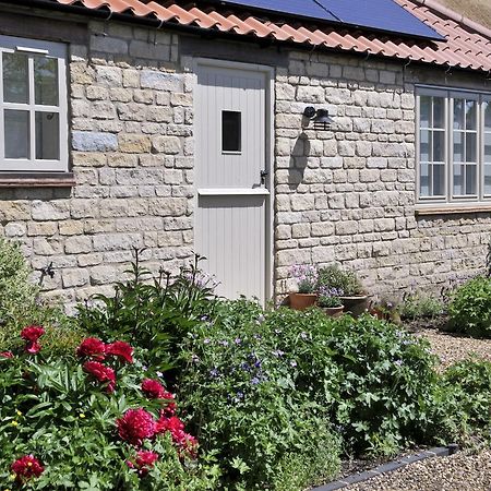 The Swallows Rest Bed & Breakfast Brigstock Exteriör bild